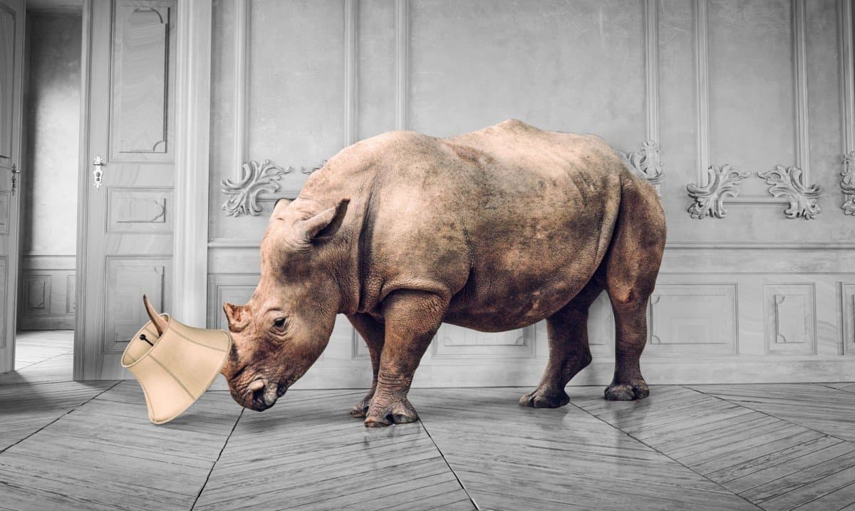 Rhinocéros coiffé d'un abat-jour, debout dans un salon aux moulures grises
